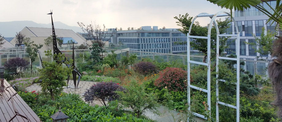 南京萬通城市建設設計院弱電系統(tǒng)項目案例。