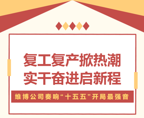 復(fù)工復(fù)產(chǎn)掀熱潮 實(shí)干奮進(jìn)啟新程 —— 維博公司奏響 “十五五” 開局最強(qiáng)音
